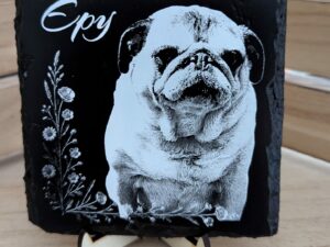 Plaque souvenir Animaux